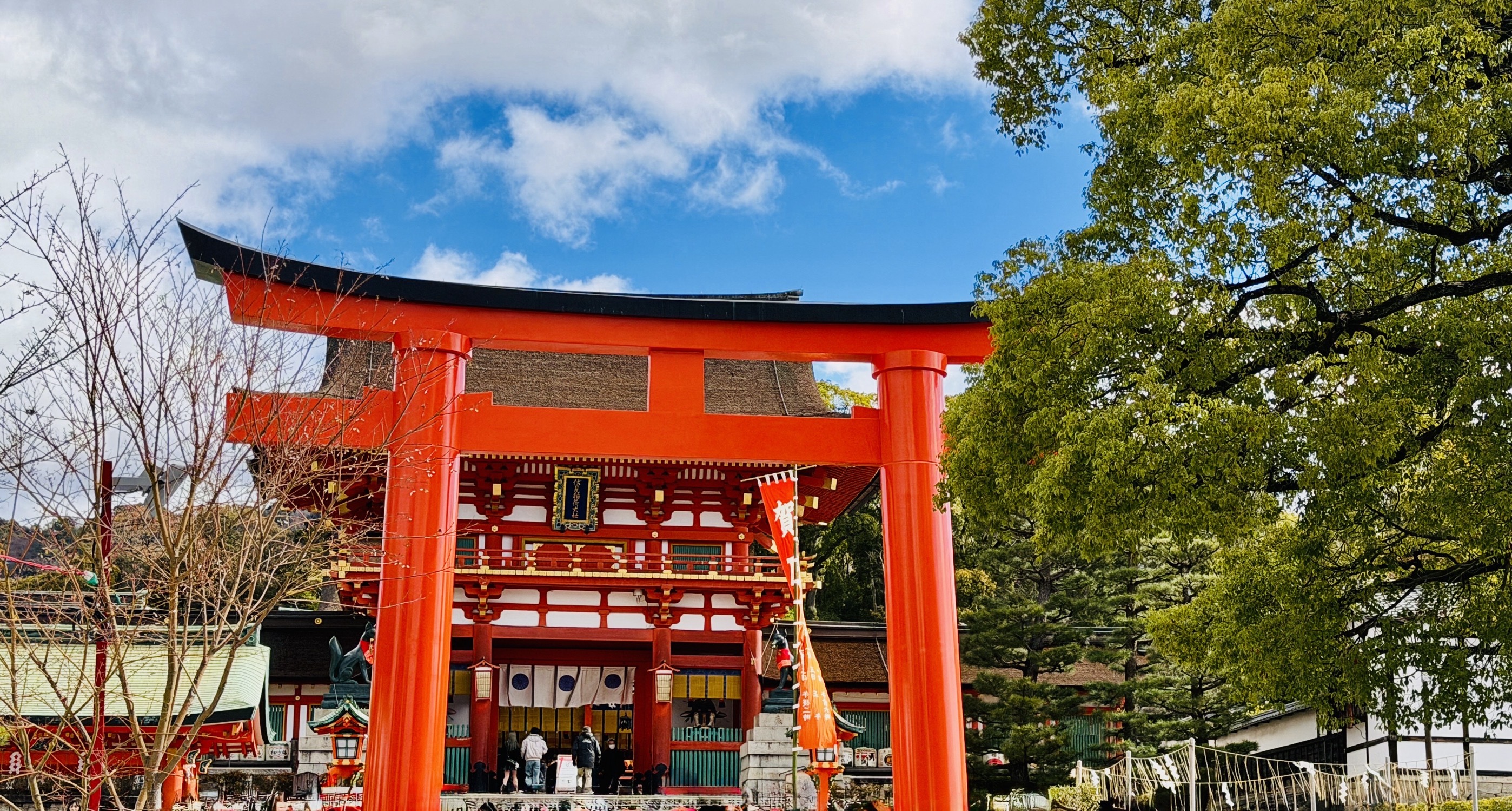 新着情報の画像